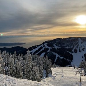 Meet your Posher, Moneeka